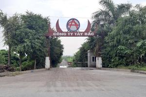 Việt Trì, Phú Thọ: Chính quyền làm ngơ cho doanh nghiệp chiếm đất?