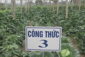 Kiến nghị miễn, giảm thuế sử dụng đất nông nghiệp 10 năm