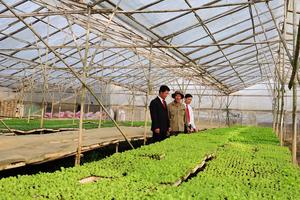 Agribank: Vì tương lai xanh