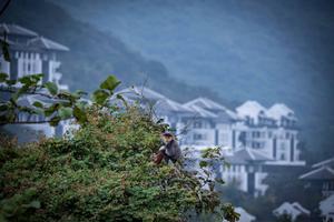 Phát triển du lịch bền vững cần đi từ yếu tố môi trường