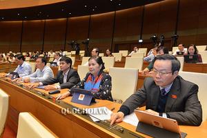 Chính phủ không bảo lãnh vốn cho nhà đầu tư làm sân bay Long Thành
