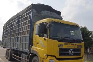 Xe tải ngang nhiên chở quá tải, quá khổ, phóng nhanh, vượt ẩu  ​