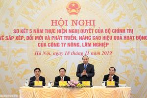 Thủ tướng chủ trì Hội nghị sơ kết 5 năm thực hiện Nghị quyết về các Công ty nông lâm nghiệp