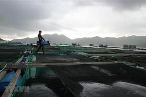 Vùng áp thấp trên Biển Đông khả năng mạnh lên thành áp thấp nhiệt đới