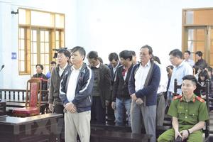 Gia Lai: 200 tháng tù với 12 đối tượng sai phạm về quản lý đất rừng