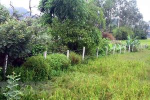 Kỷ luật một số cán bộ liên quan sai phạm đất đai tại Phan Thiết