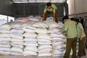 Phát hiện gần 13.000kg đường cát nhập lậu giấu trong vườn cao su