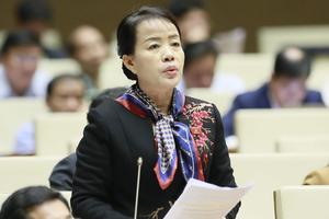 Lo ngại sự xâm nhập của người nước ngoài “núp” danh nghĩa du lịch