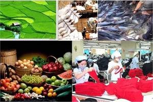 Thủ tướng yêu cầu đẩy mạnh cải thiện môi trường kinh doanh