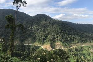 Gian nan công tác giữ rừng