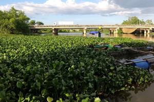 Kỳ VII: Cơ quan chức năng của tỉnh Hà Tĩnh vào cuộc