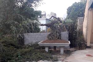 Địa phương đã xây tường bảo vệ đất và tài sản trên đất hợp pháp cho gia đình ông Tài