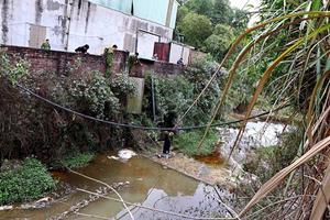 Hòa Bình: Công ty TNHH Hồng Cơ vẫn ngang nhiên tiếp tục xả thải ra suối Dụ