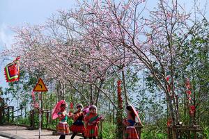 Điểm danh những điểm đến chất lừ dịp Tết Nguyên Đán 2020 tại Miền Bắc