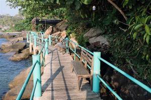 'Phù phép' đất rừng ở Phú Quốc: Xây dựng, sang nhượng dự án trái phép