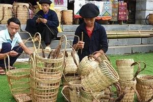 Nhiều hoạt động điểm nhấn chào đón Năm mới 2020 với chủ đề “Sắc hoa”