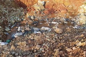 Làm rõ thông tin về việc đổ trộm chất thải nguy hại xuống sông Cầu