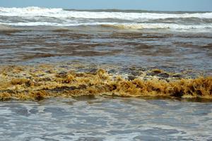 Quảng Ngãi: Nước biển đổi sang màu xám đen chưa rõ nguyên nhân