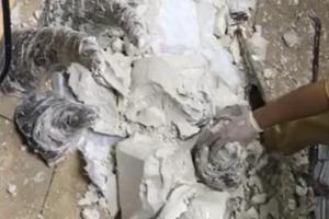 Bắt giữ 55 khúc sừng tê giác tại Sân bay quốc tế Nội bài