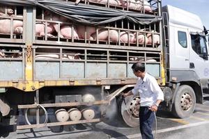 Ngăn chặn tình trạng buôn lợn qua biên giới Việt - Lào