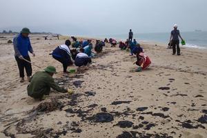 Huy động hàng trăm thanh niên thu gom dầu tràn trên biển Hà Tĩnh