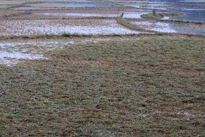 Dân nghèo phải hối lộ để nhận lại đất nông nghiệp của chính mình