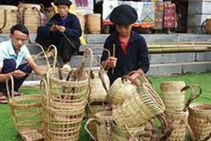 Nhiều hoạt động điểm nhấn chào đón Năm mới 2020 với chủ đề “Sắc hoa”