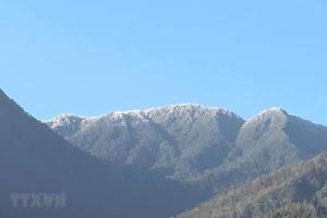 Sương muối, băng giá bao trùm vùng núi cao Bắc Bộ, có nơi dưới 3 độ C