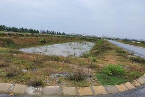 Quảng Bình: Bất cập trong việc bán đấu giá "đất sạch"