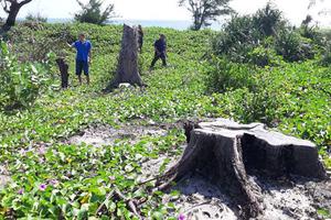 Chưa phê duyệt đã… phá?