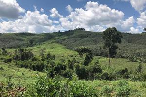 Đắk Nông: Nhiều vi phạm trong quản lý, sử dụng đất nông, lâm nghiệp