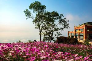 Sun Group khai trương hệ thống cáp treo hiện đại tại Núi Bà Đen – Tây Ninh