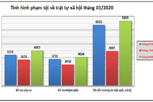 Tháng 1: Toàn quốc xảy ra 1.835 vụ vi phạm pháp luật về kinh tế