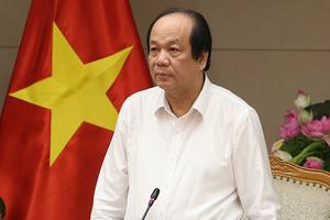 Khởi sự kinh doanh: Doanh nghiệp vẫn kêu “suốt ngày làm báo cáo”