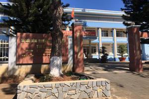 UBND tỉnh Gia Lai vào cuộc xử lý