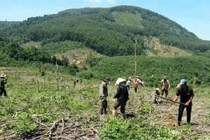 Tăng cường quản lý đất có nguồn gốc từ các nông, lâm trường quốc doanh