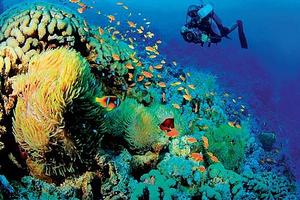 Chương trình trọng điểm điều tra cơ bản tài nguyên, môi trường biển và hải đảo