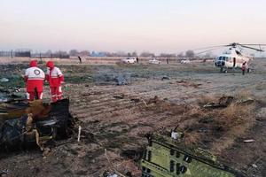 Thông tin sơ bộ về quốc tịch các nạn nhân vụ máy bay rơi ở Iran