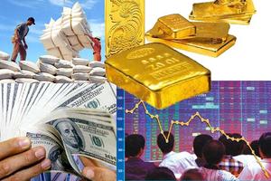 Năm 2020, kinh tế Việt Nam có triển vọng tăng trưởng tốt hơn