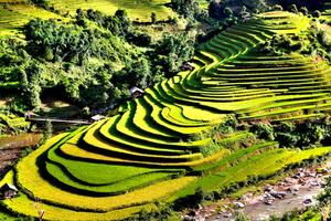 Xếp hạng 7 di tích quốc gia đặc biệt