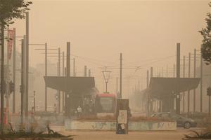 Australia chi 52 triệu USD hỗ trợ du lịch khôi phục sau cháy rừng