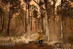 WMO khẳng định biến đổi khí hậu là yếu tố gây cháy rừng tại Australia