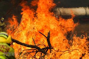 Australia chi tiền điều trị chấn thương tinh thần do cháy rừng gây ra