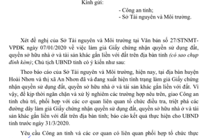 Chủ tịch UBND tỉnh chỉ đạo điều tra làm rõ đường dây làm giả sổ đỏ đất đai