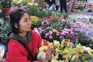 Người Hà Nội đội mưa rét sắm hoa Tết