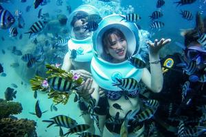 Shark Nguyễn Thanh Việt bắt tay Seaworld đánh thức tiềm năng dịch vụ biển Phú Quốc