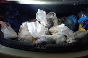 Bắt ô tô vận chuyển 16 cá thể nghi là tê tê