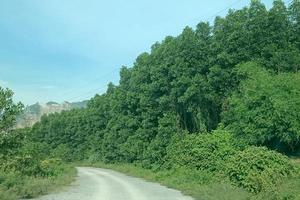 Thanh Hóa: Cấp GCNQSDĐ trái quy định 30.884m2 đất, chưa ai bị xử lý kỷ luật 