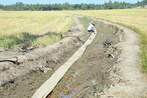 Đồng bằng sông Cửu Long đối diện với hạn, mặn gay gắt