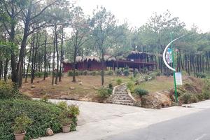 Đầu tư trái phép hơn 3,6 tỷ đồng tiền ngân sách tại hồ Yên Trung